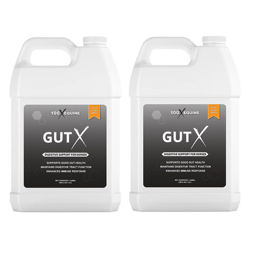 Gut X (2) » Offer 100X Equine, LLC