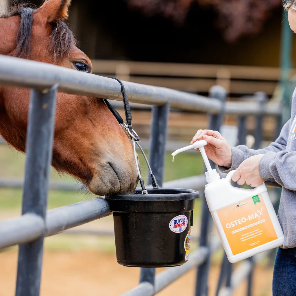 Osteo-MAX being fed to a horse in the paddock