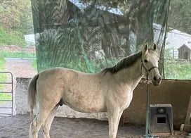 Customer photo from Molly A.
