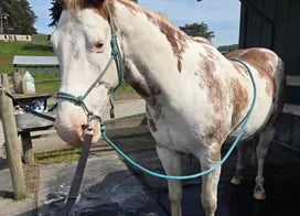 Customer photo from Erin S.
