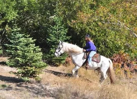 Customer photo from Debra B.