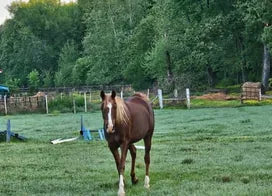 Customer photo from Christine F.