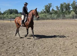 Customer photo from Angela P.