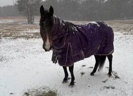 Customer photo from Tracy G.