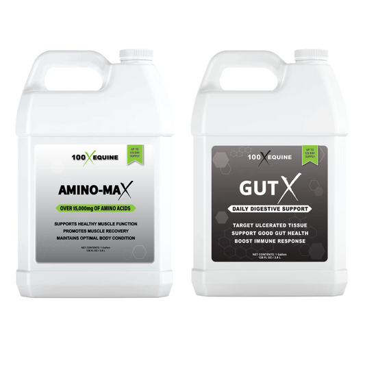 Amino-Max + Gut X