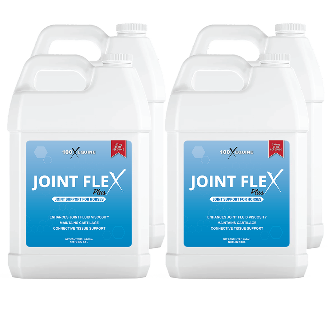 Joint Flex Plus » 2 Gallons