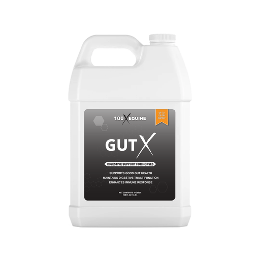 Gut X » up to 50% Off