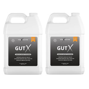 Gut X » up to 63% Off