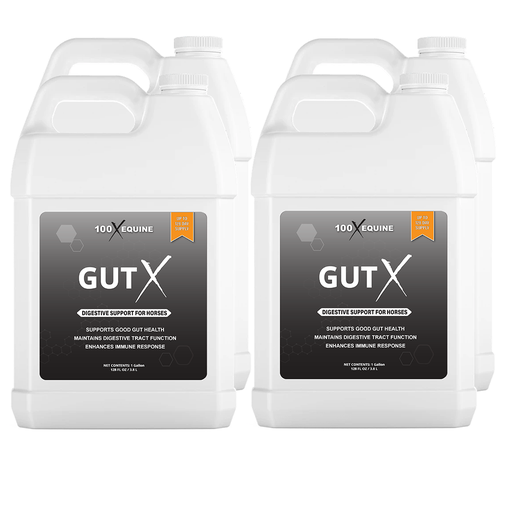 Gut X
