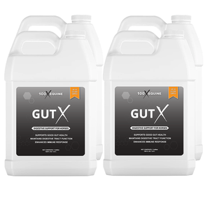 Gut X » up to 63% Off
