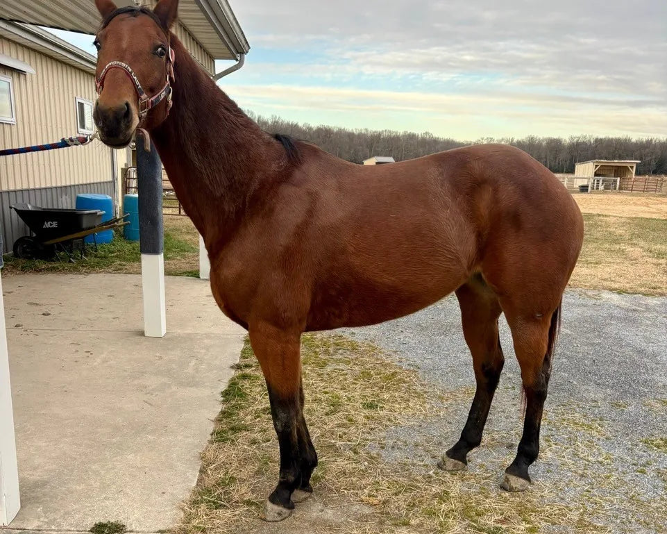 Day 30, filled out