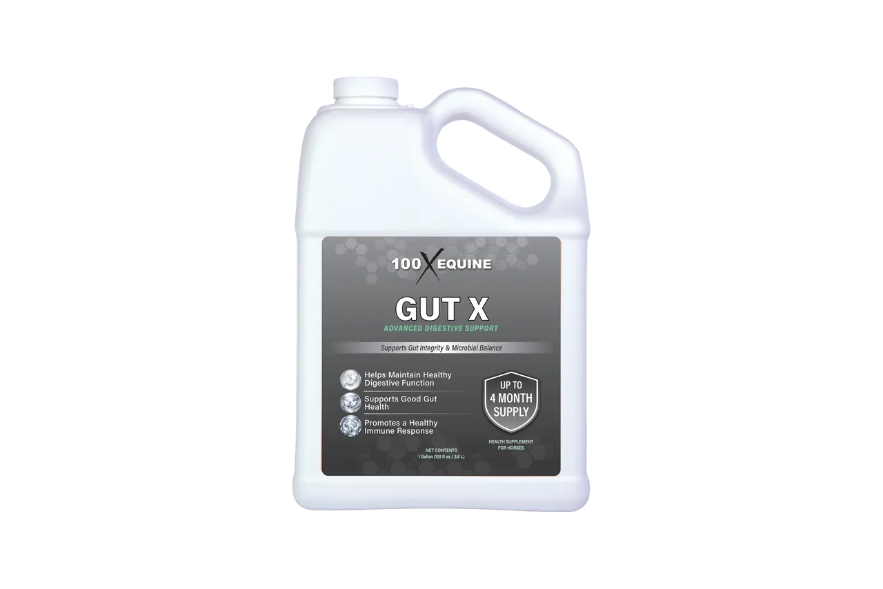 Gut X jug