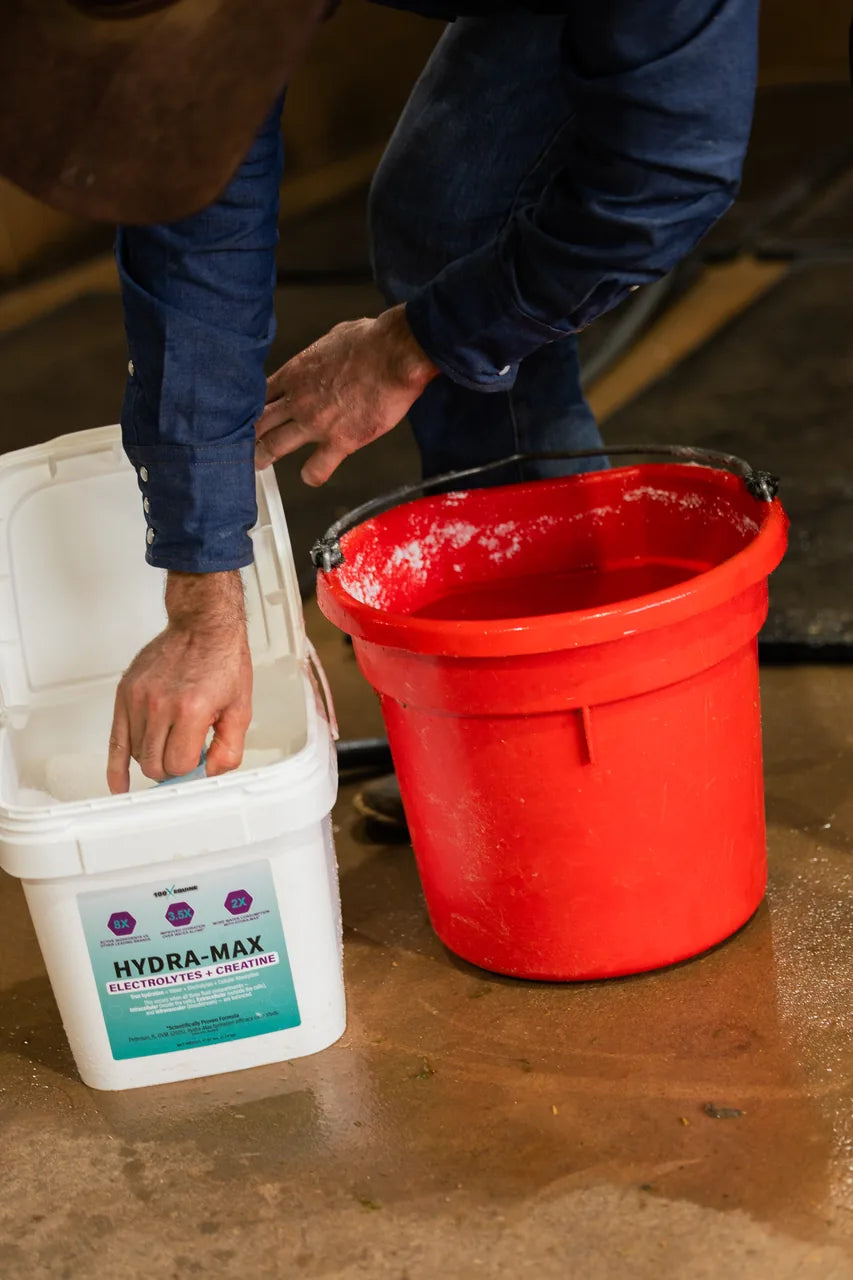 Scooping Hydra-MAX into the water bucket