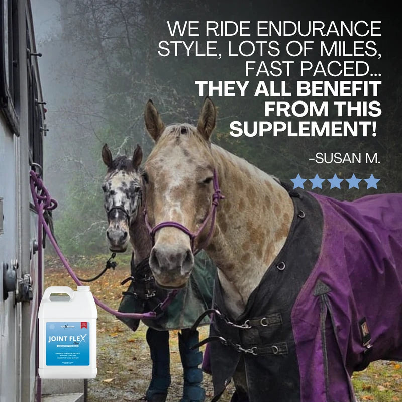 Two horses tied at a trailer. Five star review from Susan M: we ride endurance style, lots of miles, fast paced, they all benefit from this supplement