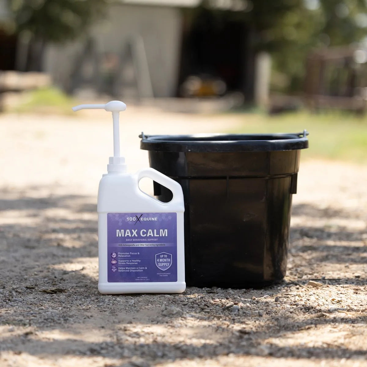 Max Calm beside a feed bucket
