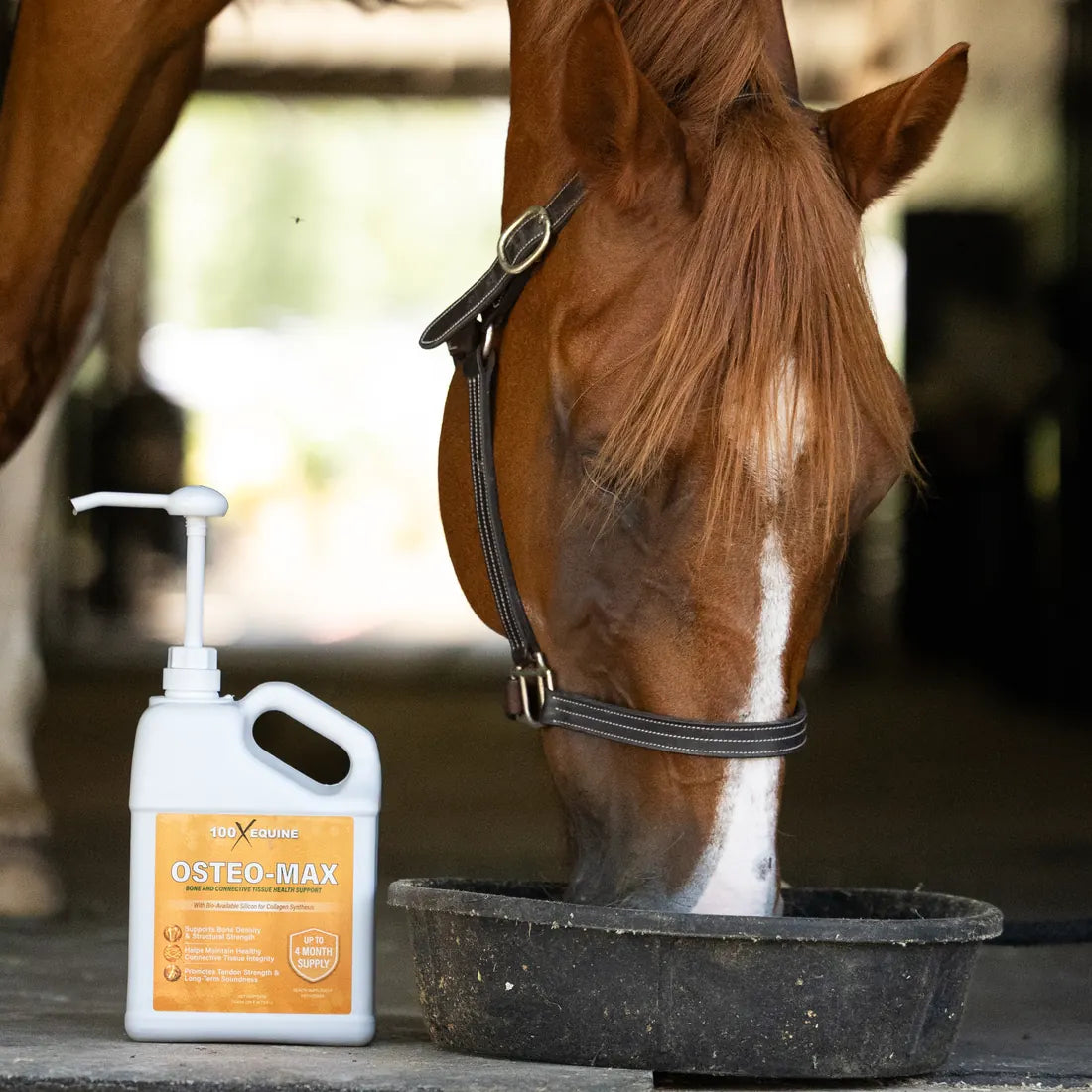 A chestnut horse eating from a rubber feed pan with the Osteo-MAX gallon alongside