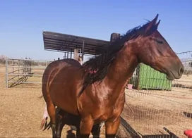 Customer photo from Loren F.