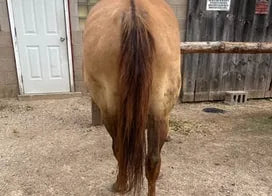 Customer photo from Megan B.