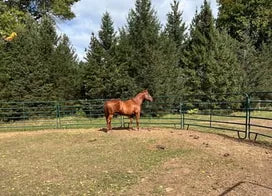 Customer photo from Jamie S.