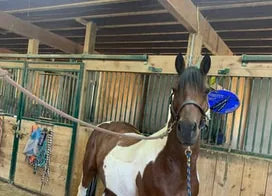Customer photo from Christine W.