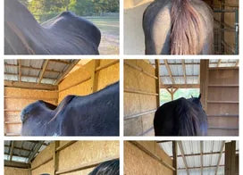 Customer photo from Wendy C.