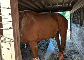 Customer photo from Donna S.