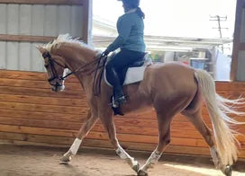 Customer photo from Sonya H.