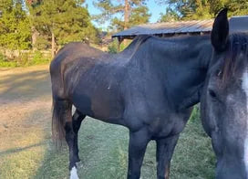Customer photo from Wendy C.