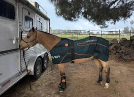 Customer photo from Amy C.