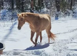Customer photo from Jenna D.