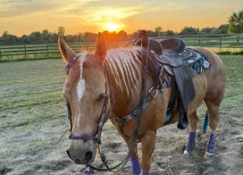 Customer photo from Jennie J.