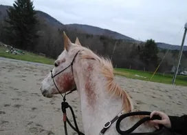 Customer photo from Kathryn S.