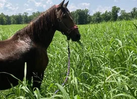 Customer photo from Victoria D.