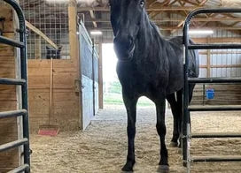 Customer photo from Andrea F.