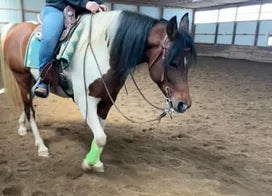 Customer photo from Susan P.