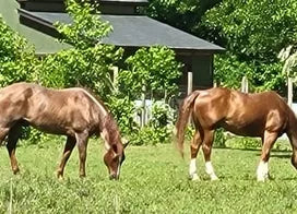 Customer photo from Kristin C.