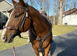 Customer photo from Rita P.