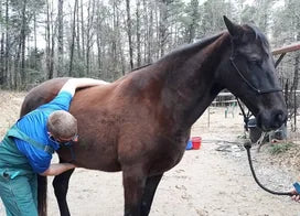 Customer photo from Leah R.