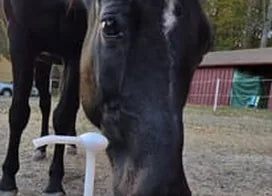 Customer photo from Carolyn M.