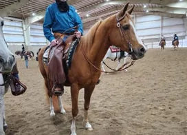 Customer photo from Sandra W.