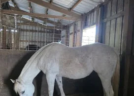 Customer photo from Melissa C.
