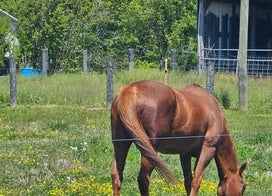 Customer photo from Connie L.
