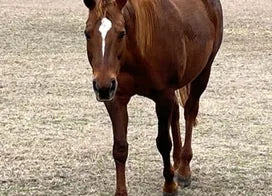 Customer photo from Carole O.