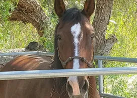 Customer photo from Debbie C.