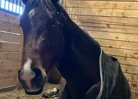 Customer photo from Amy A.