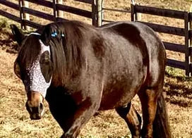Customer photo from Peggy L.