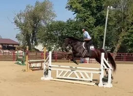 Customer photo from Lynne S.