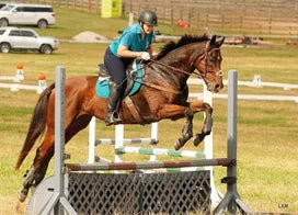 Customer photo from Carol Ogden C.