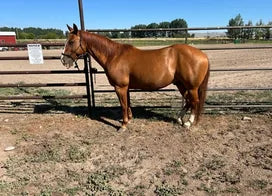 Customer photo from Cameron F.