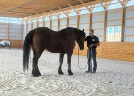 Customer photo from Cindy M.